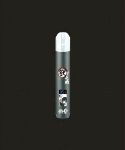evo發光主機 1